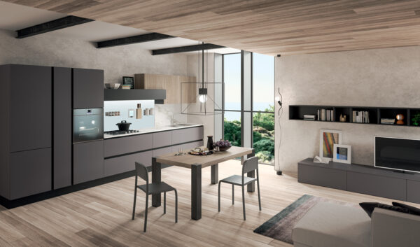 Erika 01 cucina lineare con living in laminato colore ombra